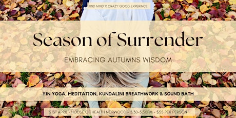 Season of Surrender - Embracing Autumns Wisdom Workshop