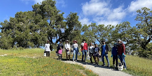 Volunteer Outside for Earth Day at Pearson-Arastradero Preserve