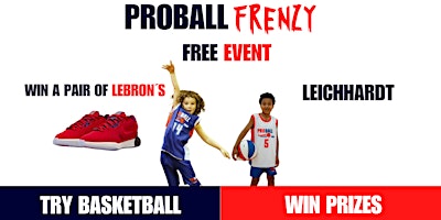 Hauptbild für ProBall Basketball FRENZY