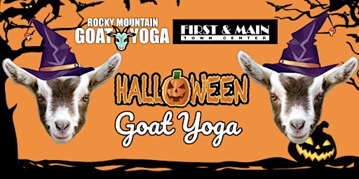 Imagem principal do evento Halloween Goat Yoga - October 13th (First & Main)