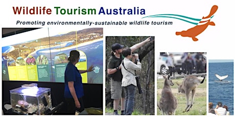 Imagem principal de Wild Tails: Storytelling  and other interpretation  in wildlife tourism
