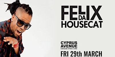 Primaire afbeelding van Felix Da Housecat