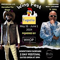 Imagem principal do evento WING FEST 2024 DAY 1