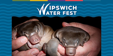Puggle Time - WaterFest primary image
