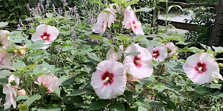 Floral Summer Planter