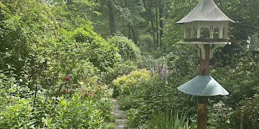 Primaire afbeelding van Native Plant Forest Bathing