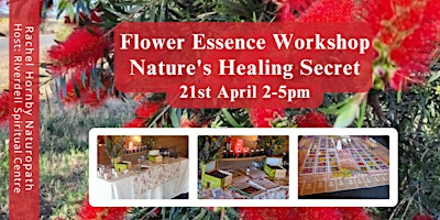 Image principale de Flower Essence Workshop - Natures Healing Secret - 21st April 2pm - 5pm