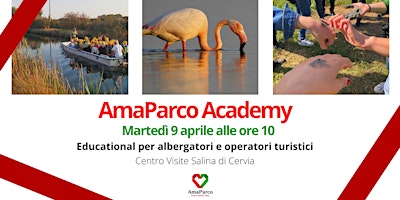 Primaire afbeelding van AmaParco Academy | Educational alla Salina di Cervia per Albergatori