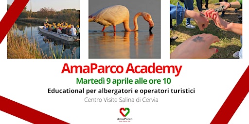 Immagine principale di AmaParco Academy | Educational alla Salina di Cervia per Albergatori 