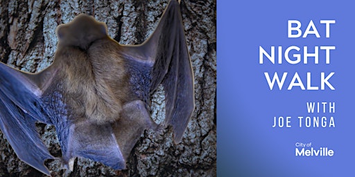 Primaire afbeelding van Bat Night Walk (for adults and 12yrs+)