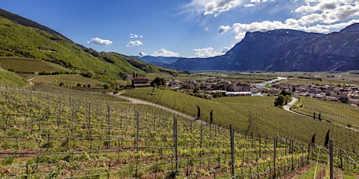 Imagem principal de Il Giardino del Vino più bello d’Europa - Tra le montagne