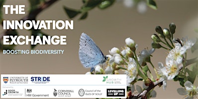Primaire afbeelding van The Innovation Exchange: Boosting Biodiversity