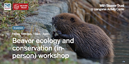 Hauptbild für Beaver Ecology and Conservation (in-person) workshop