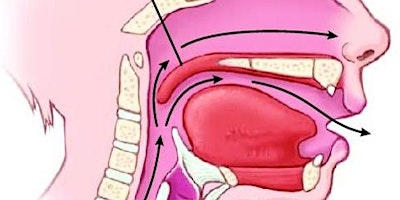 Imagem principal de Speech Assessment in Cleft Palate and non-Cleft Velopharyngeal Dysfunction