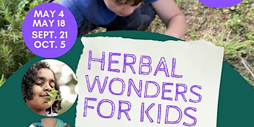 Herbal Wonders for Kids at Sweet Birch Herbals primary image