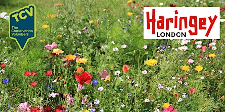 Wildflower Meadow Sowing - Bounds Green (12:00 - 13:00)