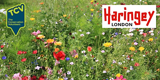 Immagine principale di Wildflower Meadow Sowing - Bounds Green (12:00 - 13:00) 