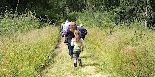 Worcestershire's Local Nature Recovery Strategy and Community Groups primary image