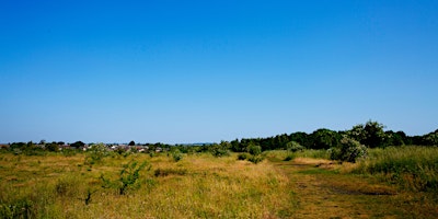 Image principale de Haydon Batch Bio Blitz! A Wildlife Walk with Steve England