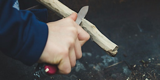 Beginners Guide to Whittling primary image