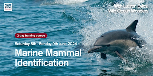 Marine Mammal Identification  (2-day course) primary image