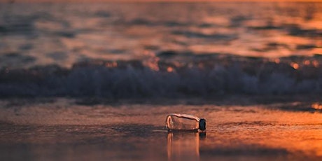 Join Us for a Beach Clean at Spurn Point with the Wildlife Trust!