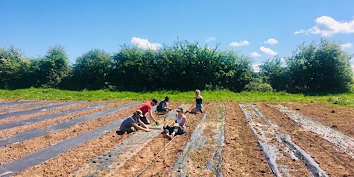 Primaire afbeelding van Community Farmer Day - 25th May