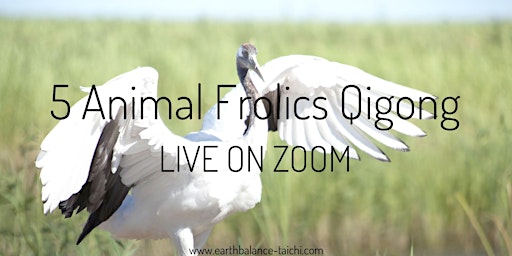 Primaire afbeelding van Five Animals Qigong Course on Zoom