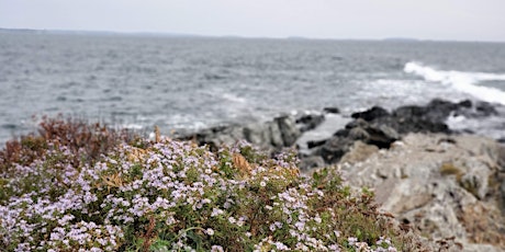 Nature Writing Through the Seasons