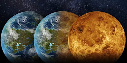 Primaire afbeelding van The Venus Hypothesis