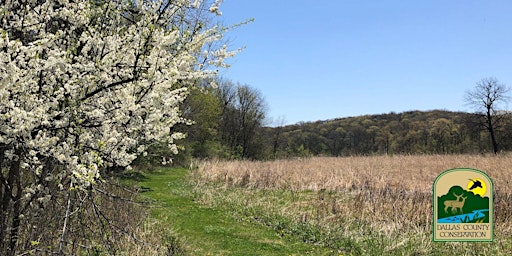 Image principale de Spring Hike