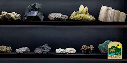 Incredible Minerals primary image