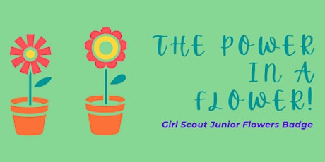 Girl Scout Junior Flowers Badge
