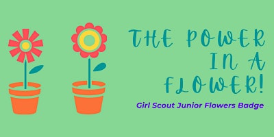 Imagem principal de Girl Scout Junior Flowers Badge