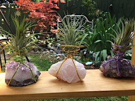 Crystal Air Plant Holders primary image