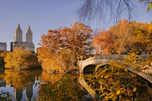 Imagem principal do evento Art of Central Park NY and more! Online Hands-on Creating Workshop