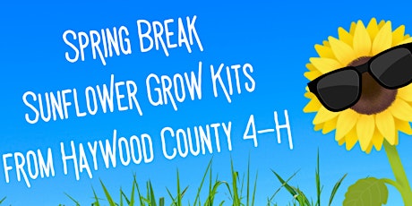 4-H Spring Break Sunflower Grow Kit Pick Up