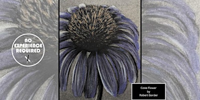 Hauptbild für Fundraising Charcoal Drawing Event "Cone Flower" in Baraboo