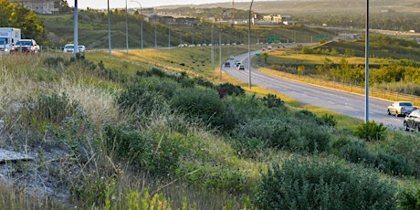 Sarcee Bow Functional Planning Study: Online Information Session with Q & A