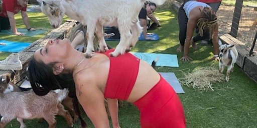 Goat Yoga Houston At Bad Astronaut Brewing Saturday April 20th 10AM primary image