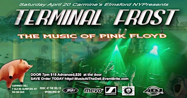 Primaire afbeelding van Terminal Frost a tribute to Pink Floyd Live