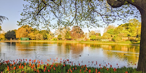 Immagine principale di Summer Solstice Storytelling Tree Walk 