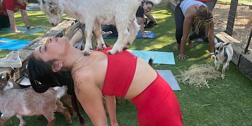 Primaire afbeelding van Goat Yoga Houston Bad Astronaut Brewing Saturday April 20th,2nd class 11AM