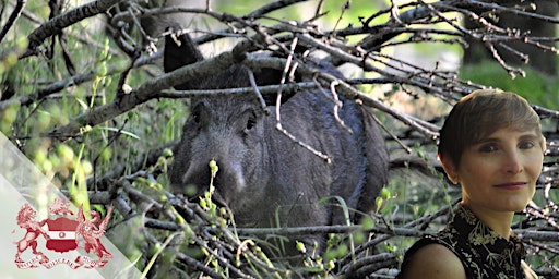 Imagem principal de Groundbreakers: The Return of Britain's Wild Boar
