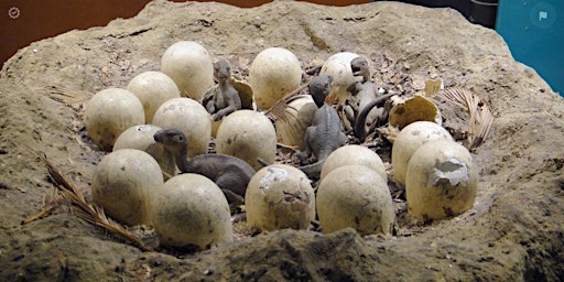 Imagem principal do evento Burpee Museum's 2024 EGGSTRVAGANZA!  BONUS Art Class: Dinosaur Nests