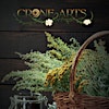 Logotipo de Crone Arts