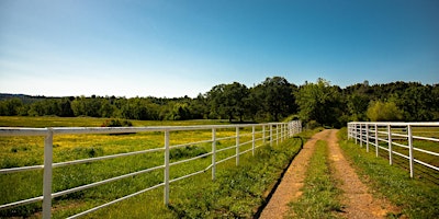 Imagem principal do evento Hike at Cow Creek Ranch