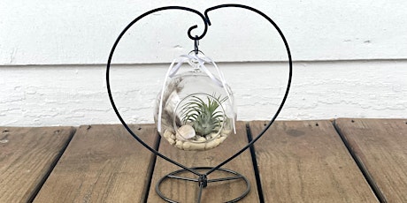 Air Plant Terrarium Workshop