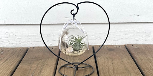 Air Plant Terrarium Workshop primary image