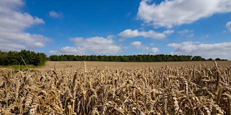 Future Farming Resilience: farming support payments for arable farms